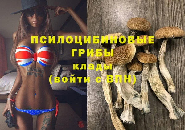 героин Алзамай