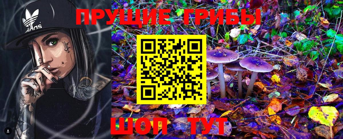 Галлюциногенные грибы Magic Shrooms  Псилоцибиновые грибы Magic Shrooms  Моздок  Вход с VPN 