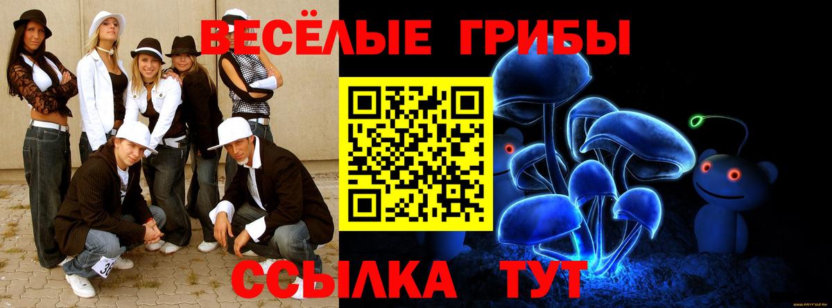Псилоцибиновые грибы мицелий Моздок